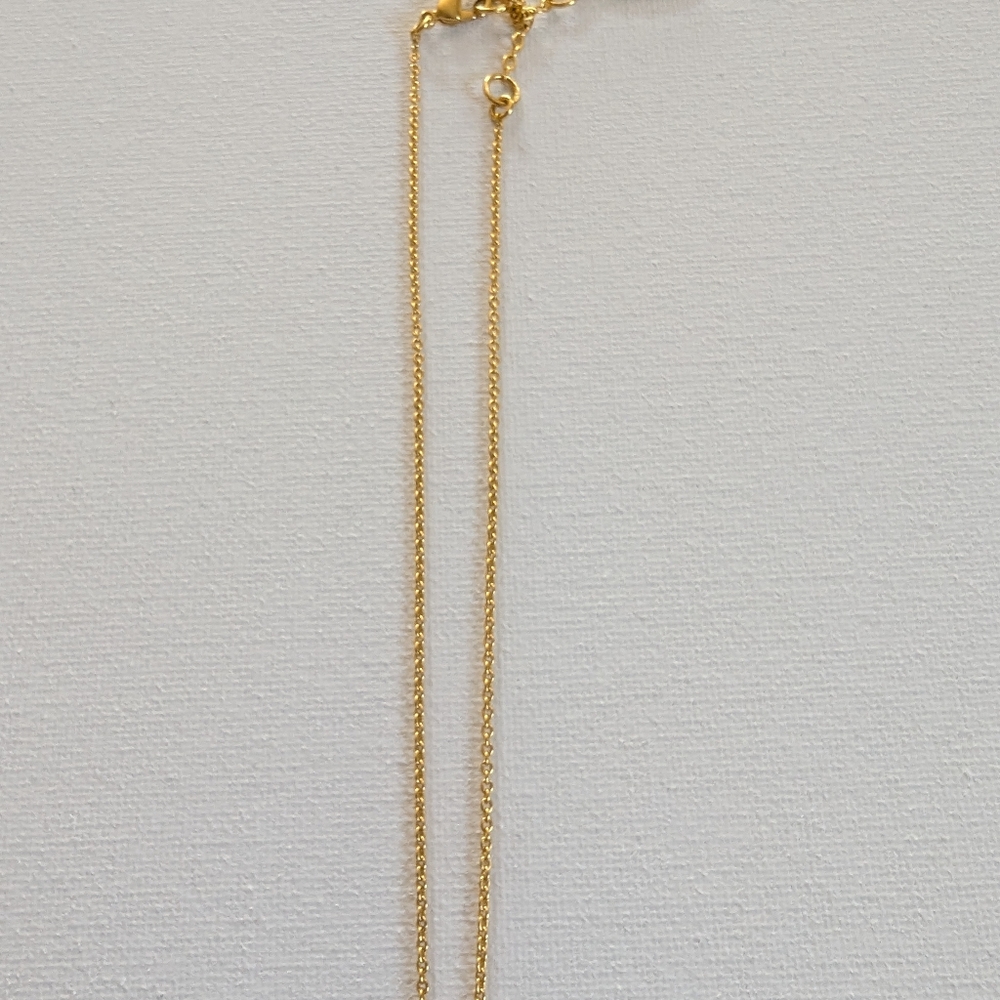 Sole Society Necklace - Picture 4 of 9